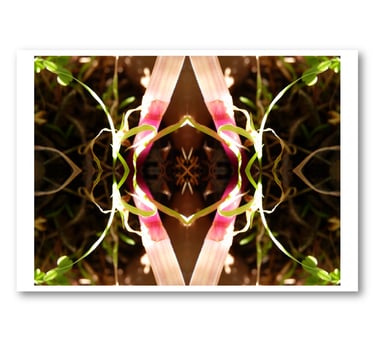 Reproduction Eve de Lamarcelle