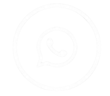 WhatsApp icon