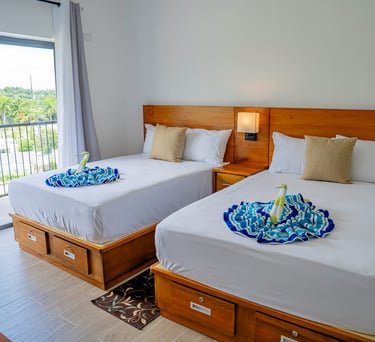 Xeliter Green One  Playa Dorada studio