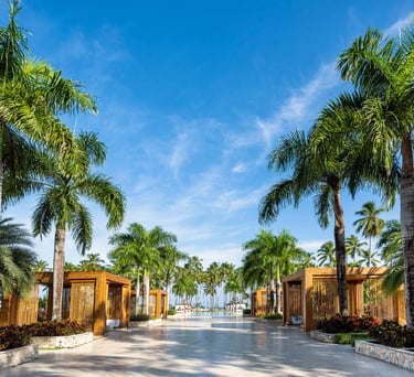 viva v wyndham samana resort