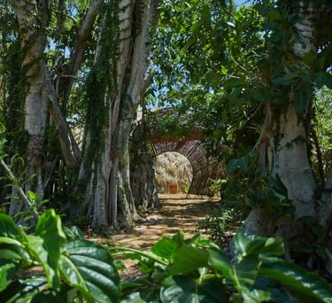 cayo levantado resort walking