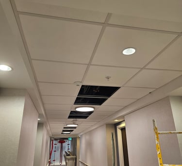 Suspended Acoustical Ceiling