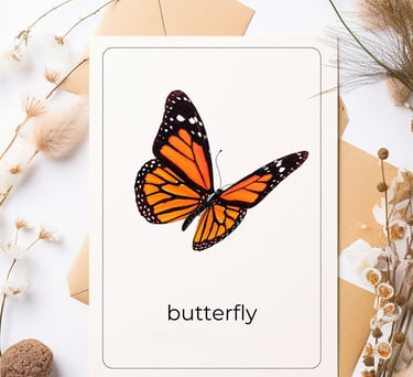 Montessori flash card butterfly bilingual English Spanish real photograph