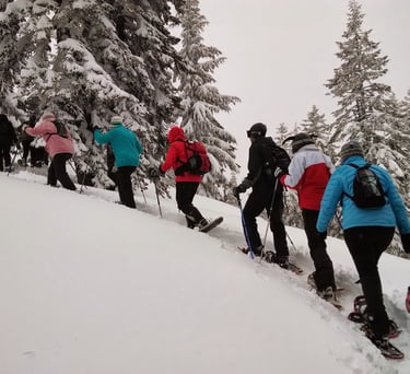 Grupo caminando con raquetas de nieve en la cerdanya