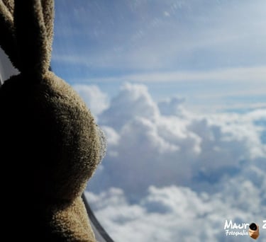 a stuffed animal rabbit in the sky