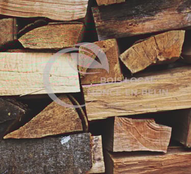 vue en gros plan de buches