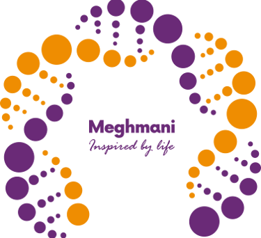 Logo of Meghmani Life Sciences
