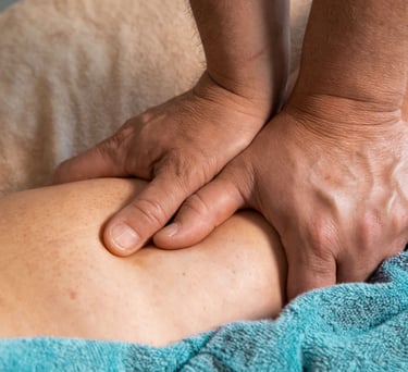 terapia manualna bielsko