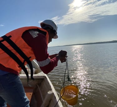 Water quality monitoring