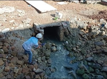 Water quality monitoring
