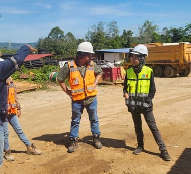 Environmental Audit briefing
