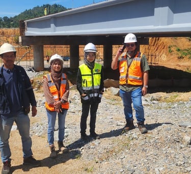 Environmental Audit