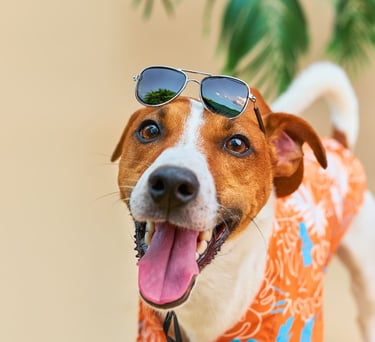 Un alegre Jack Russell Terrier con una camisa hawaiana y gafas de sol, listo para unas vacaciones.