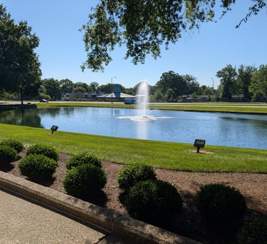 A scenic office park pond with a water fountain surrounded by green lawn and manicured shrubs.