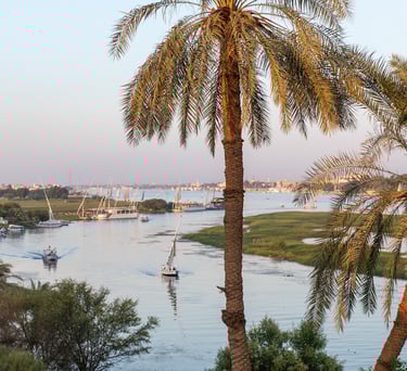 Traditional Egyptian felucca sailboats sailing on the Nile River in Luxor at sunset framed by palm trees.