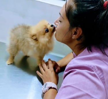 Veterinaria dueña de veterinaria pekes besando a perrito