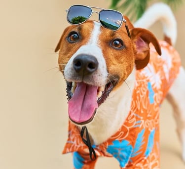 pero terrier feliz con camisa hawaiana y gafas de sol