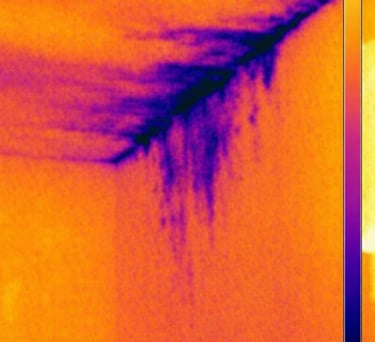 a thermal camera image 