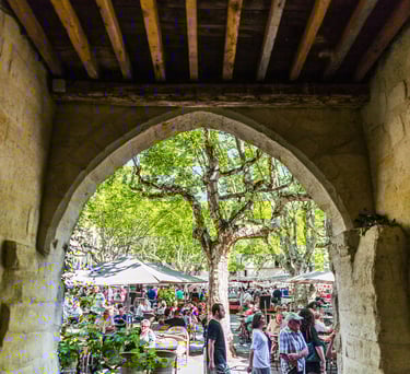 Villa avec piscine à Uzès dans le Gard