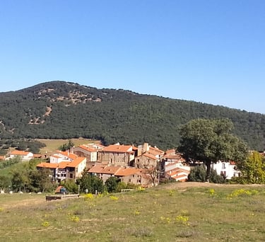 a horse is standing in a field with a mountain in the background