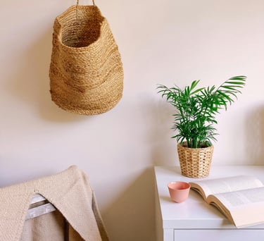 a plant in a room with a plant in the background