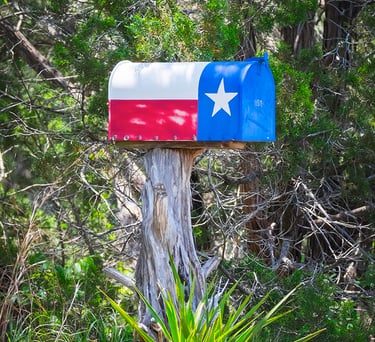 Rural Texas mailbox painted with the Texas state flag design, set against a typical Texas cedar brush background