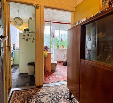 1 kambario butas Piliakalnio g. 11,  Kaune - NT Brokeris Andrius Velykis - NT OAZĖ