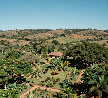 A scenic view of the Agreste Potiguar landscape in Brazil, showing a lush green organic garden oasis contrasting with the natural semi-arid surroundings, bright blue sky.