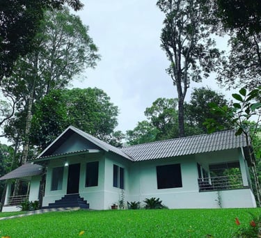 Nelliyampathy stay at Woodsville 