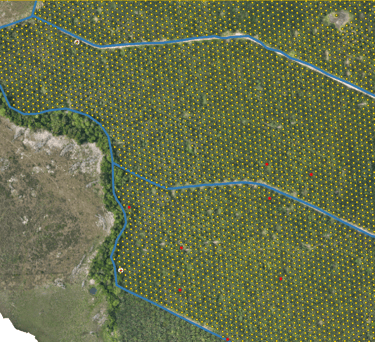 palms inside the cultivation with nomenclature