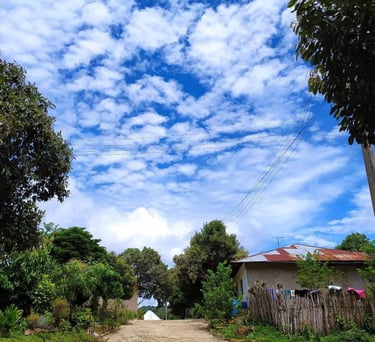 Paisaje de Lata: Cielo Azul