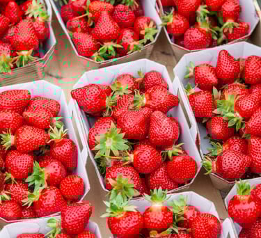 Panier de fraises bio fraîches récoltées dans notre verger familial en Savoie – La Ferme du Coteau