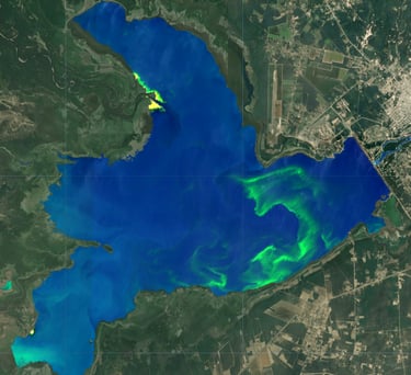 Floración de cianobacterias en el embalse Río Hondo, falso color Sentinel-2