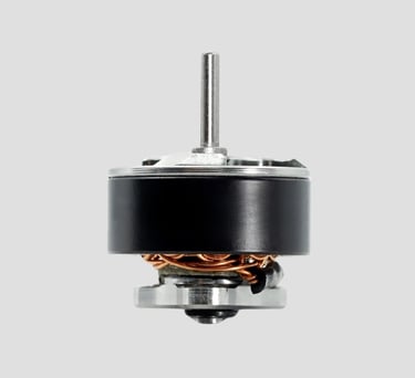 TinyWhoop Motor, Variklis