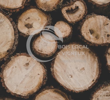 vue de face de troncs 