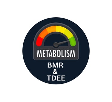BMR & TDEE Calculator