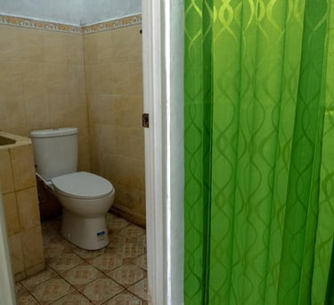 Kamar mandi lengkap dengan shower, closet duduk dengan flush, dan tersedia sabun