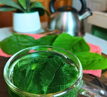 Herbal Tea