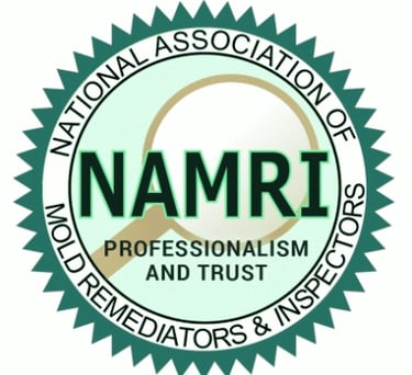 Certified Mold Inspection