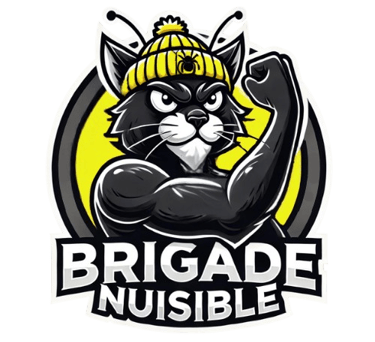 Création d'un site web dératisation et désinsectisation