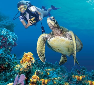 the andaman and nicobar islands trip joshua tours sea side snorkelli para sailing water activities