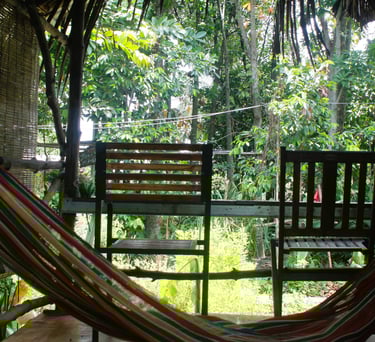 Bright garden-view room with two separate beds and air conditioning, ideal for comfort seekers.