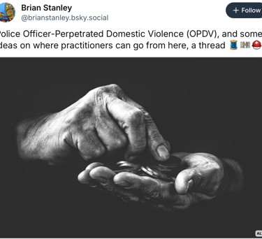 Screenshot of Blue Sky Post offering ideas for practitioners to take action on OPDV