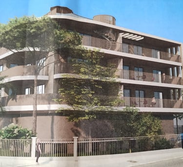 quand le béton remplace les arbres