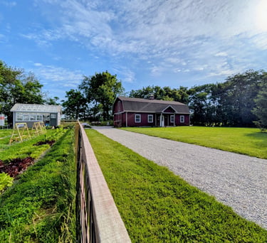 A sunny image of a barn, greenhouse, and garden