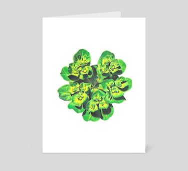Green flower greeting card