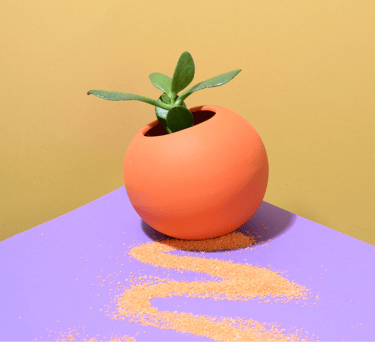 a plant in a vase on a table