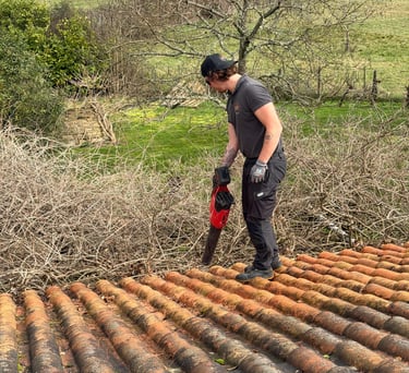vegetaux et feuilles sur toiture dangereux
