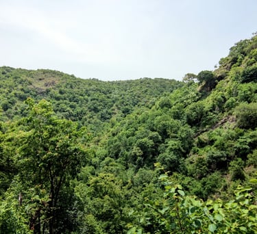 best resort in kerala