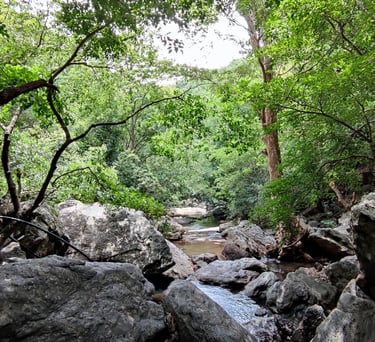 best resort in anaikatti